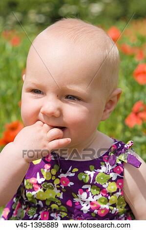 6 months old baby girl in the meadow. View Large Photo Image Stock Photo - 6 months old baby girl in the meadow.. Fotosearch