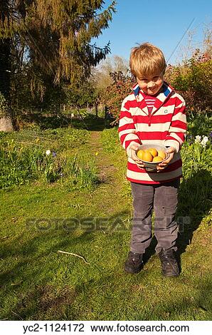 6 year old boy showing his collected free range eggs in England, Great Britain, Uk View Large Photo Image Stock Image - 6 year old boy showing his collected free range eggs in England, Great Britain, Uk. Fotosearch