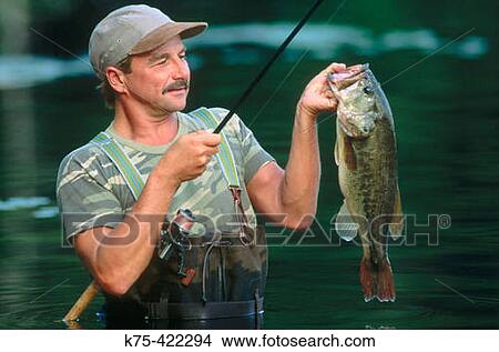 Picture - 7 lb. Largemouth Bass. Fotosearch