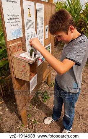 A 12 year old boy in a maze getting his card stamped outdoors in the uk View Large Photo Image Stock Photo - A 12 year old boy in a maze getting his card stamped outdoors in the uk. Fotosearch