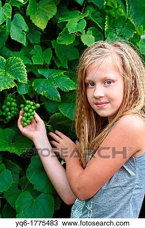 A 12 year old girl holding a cluster of green grapes growing int he garden View Large Photo Image Stock Image - A 12 year old girl holding a cluster of green grapes growing int he garden. Fotosearch