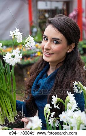 A 21 year old brunette woman at a plant nursery holding a paper white plant View Large Photo Image Stock Photography - A 21 year old brunette woman at a plant nursery holding a paper white plant. Fotosearch