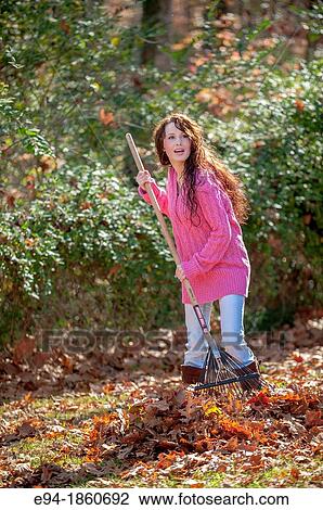 A 24 year old brunette woman raking leaves in a back yard in the fall View Large Photo Image Stock Image - A 24 year old brunette woman raking leaves in a back yard in the fall. Fotosearch