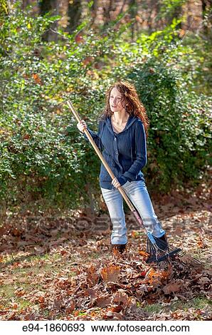 A 24 year old brunette woman raking leaves in a back yard in the fall View Large Photo Image Stock Image - A 24 year old brunette woman raking leaves in a back yard in the fall. Fotosearch