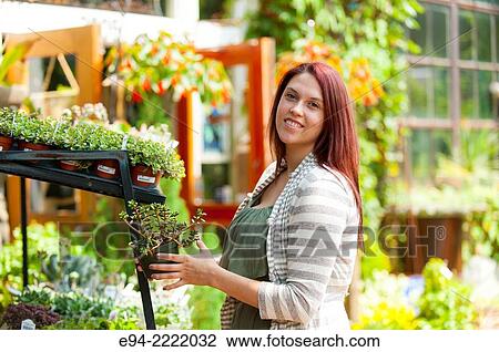 A 24 year old brunette woman shopping in a plant nursery View Large Photo Image Stock Image - A 24 year old brunette woman shopping in a plant nursery. Fotosearch