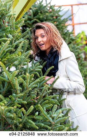 A 27 year old brunette woman outdoors shopping for a Christmas tree. View Large Photo Image Stock Photo - A 27 year old brunette woman outdoors shopping for a Christmas tree.. Fotosearch