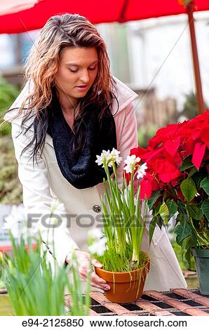 A 27 year old brunette woman shopping for holiday plants at an outdoor shop. View Large Photo Image Stock Image - A 27 year old brunette woman shopping for holiday plants at an outdoor shop.. Fotosearch