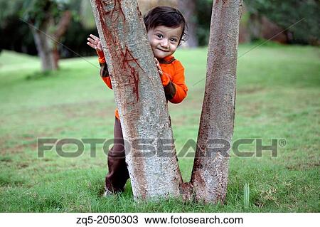 A 3 year old boy looking from behind the tree, Pune India View Large Photo Image Stock Image - A 3 year old boy looking from behind the tree, Pune India. Fotosearch