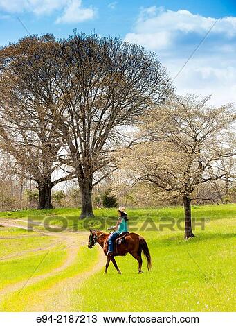 A 36 year old brunette woman wearing jeans and a straw hat riding a horse on a farm. View Large Photo Image Stock Image - A 36 year old brunette woman wearing jeans and a straw hat riding a horse on a farm.. Fotosearch