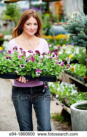 Stock Image - A 38 year old redheaded woman in a garden shop holding a flat of pansies. Fotosearch