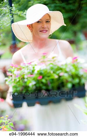 A 44 year old woman wearing a summer hat and white dress holding a flat of annual plants in a garden setting. View Large Photo Image Picture - A 44 year old woman wearing a summer hat and white dress holding a flat of annual plants in a garden setting.. Fotosearch