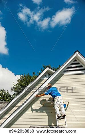 A 45 year old man on a ladder painting the white trim of a house. View Large Photo Image Stock Image - A 45 year old man on a ladder painting the white trim of a house.. Fotosearch
