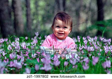 A baby girl child plays with Cyclamen flowers at spring time in the forest. View Large Photo Image Stock Image - A baby girl child plays with Cyclamen flowers at spring time in the forest.. Fotosearch