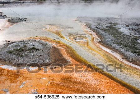 A bacterial mat near a hot spring in Yellowstone National Park, Wyoming, USA. View Large Photo Image Stock Photography - A bacterial mat near a hot spring in Yellowstone National Park, Wyoming, USA.. Fotosearch