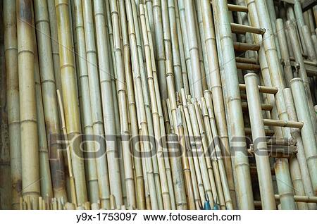 A bamboo store with different size bamboos lined up against the building View Large Photo Image Stock Photo - A bamboo store with different size bamboos lined up against the building. Fotosearch