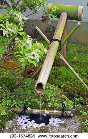 A bamboo water spout and a stone basin, with cherry blossom petals View Large Photo Image Stock Photography - A bamboo water spout and a stone basin, with cherry blossom petals. Fotosearch
