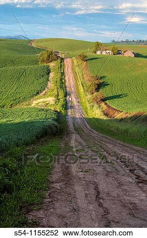 A barn along a summer road near Fairfield, Washington in the Palouse View Large Photo Image Stock Image - A barn along a summer road near Fairfield, Washington in the Palouse. Fotosearch