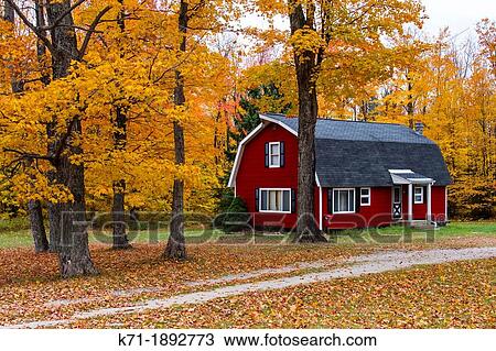A barn with fall foliage color in rural Michigan, Upper Penninsula, USA View Large Photo Image Stock Image - A barn with fall foliage color in rural Michigan, Upper Penninsula, USA. Fotosearch