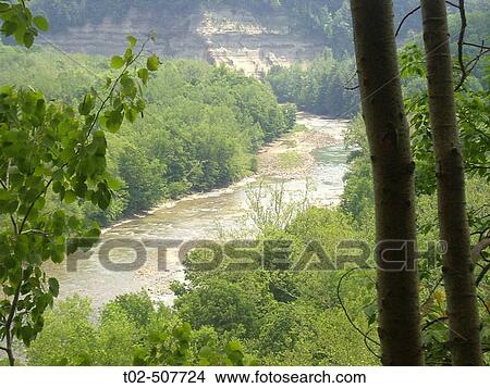 A beautiful scene of Cattaraugus Creek over looking the trees growth and high banks. The creek passes through Zoar Valley close to Gowanda, New York. USA View Large Photo Image Picture - A beautiful scene of Cattaraugus Creek over looking the trees growth and high banks. The creek passes through Zoar Valley close to Gowanda, New York. USA. Fotosearch