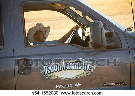 A boy drives the family truck after they finish the harvest of their pea field in Fairfield, Washington, USA View Large Photo Image Stock Image - A boy drives the family truck after they finish the harvest of their pea field in Fairfield, Washington, USA. Fotosearch