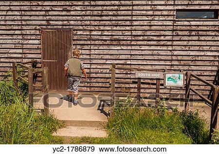 A boy entering the south hide at the Minsmere RSPB bird reserve in Suffolk, England, Britain, Uk View Large Photo Image Stock Photo - A boy entering the south hide at the Minsmere RSPB bird reserve in Suffolk, England, Britain, Uk. Fotosearch