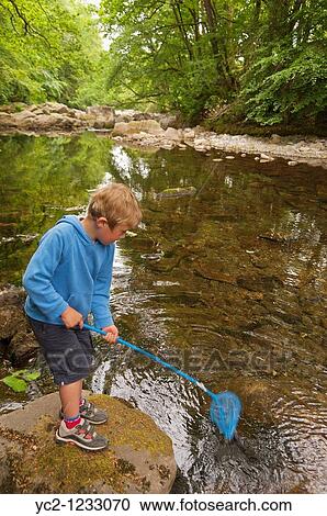A boy of 6 fishing in the stream at Stanley Ghyll in Eskdale, Cumbria, England, Great britain, Uk View Large Photo Image Stock Image - A boy of 6 fishing in the stream at Stanley Ghyll in Eskdale, Cumbria, England, Great britain, Uk. Fotosearch