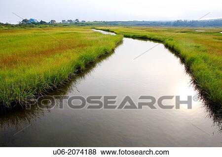 A brook and salt marsh in Nova Scotia, Canada View Large Photo Image Stock Photo - A brook and salt marsh in Nova Scotia, Canada. Fotosearch
