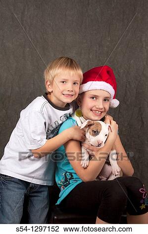 A brother and sister with their Pitbull puppy at Christmas View Large Photo Image Stock Image - A brother and sister with their Pitbull puppy at Christmas. Fotosearch