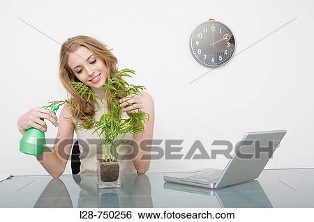 A businesswoman watering a plant View Large Photo Image Stock Photograph - A businesswoman watering a plant. Fotosearch