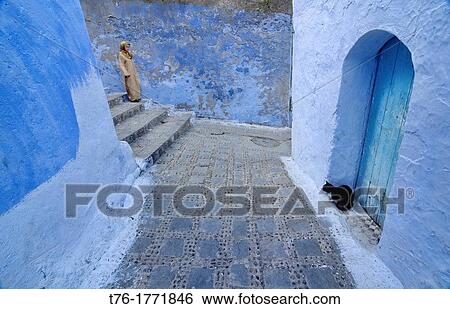 A cat at the door in the blue town of Chefchaouen, Morocco View Large Photo Image Stock Photograph - A cat at the door in the blue town of Chefchaouen, Morocco. Fotosearch