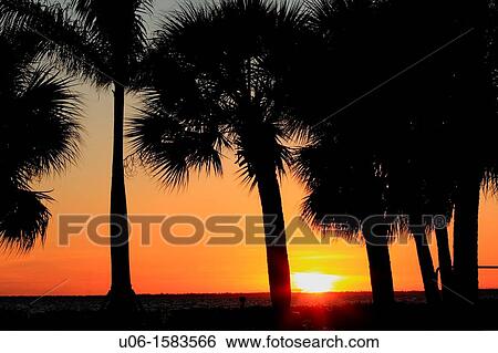 A Charlotte Harbor sunset at Punta Gorda Florida USA View Large Photo Image Stock Photograph - A Charlotte Harbor sunset at Punta Gorda Florida USA. Fotosearch