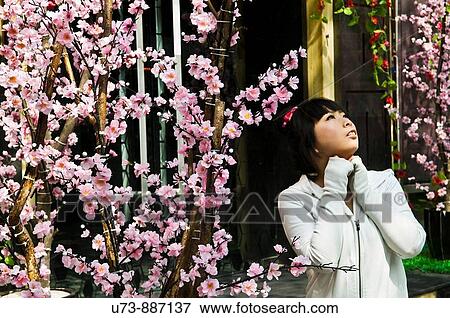 A Chinese beauty View Large Photo Image Stock Photo - A Chinese beauty. Fotosearch