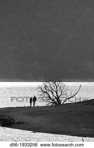 A couple at Sau swamp, Barcelona province, Catalonia, Spain View Large Photo Image Stock Photograph - A couple at Sau swamp, Barcelona province, Catalonia, Spain. Fotosearch