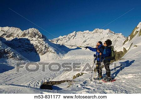 a couple of hikers walking with snowshoes in bettmerhorn with the aletsch glacier in the background bettmeralp municipality raron district valais canton switzerland europe View Large Photo Image Stock Photo - a couple of hikers walking with snowshoes in bettmerhorn with the aletsch glacier in the background bettmeralp municipality raron district valais canton switzerland europe. Fotosearch