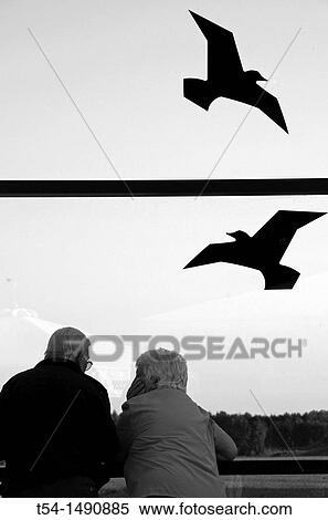 A couple stands at the airport and watch airplanes View Large Photo Image Stock Photography - A couple stands at the airport and watch airplanes. Fotosearch