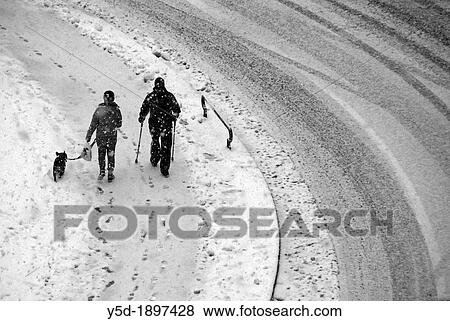 a couple with dog walking the snowed street in heavy fallsnow, man walking on crutches, many footprints in the snow around, wintertime, Geneva, Switzerland View Large Photo Image Stock Photo - a couple with dog walking the snowed street in heavy fallsnow, man walking on crutches, many footprints in the snow around, wintertime, Geneva, Switzerland. Fotosearch