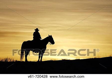 A cowboy and his horse silhoutted, Shell, Wyoming. Usa. View Large Photo Image Stock Photo - A cowboy and his horse silhoutted, Shell, Wyoming. Usa.. Fotosearch