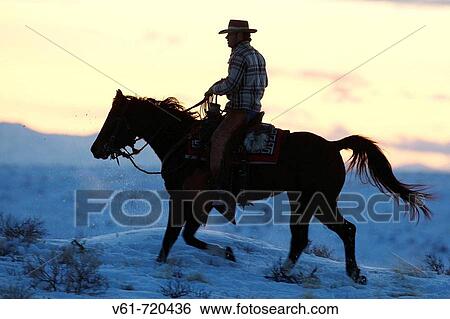 A cowboy riding across the mountain ridge at sunset, Shell, Wyoming. Usa View Large Photo Image Stock Photograph - A cowboy riding across the mountain ridge at sunset, Shell, Wyoming. Usa. Fotosearch