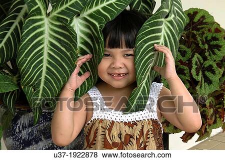 A cute little girl, Malaysia. View Large Photo Image Stock Photo - A cute little girl, Malaysia.. Fotosearch