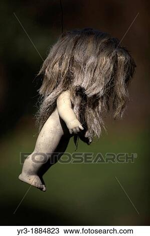 Stock Image - A doll hangs on the Island of the Dolls in Xochimilco, southern Mexico City. Fotosearch