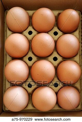 Stock Photo - A dozen eggs. Fotosearch