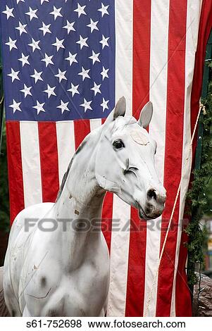 A fake horse in front of an American flag on King Street in Old Town, Alexandria, Virginia, USA View Large Photo Image Stock Photo - A fake horse in front of an American flag on King Street in Old Town, Alexandria, Virginia, USA. Fotosearch