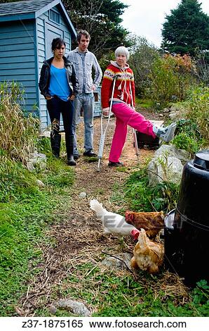 A family looks over its free-range chickens, Halifax, Canada View Large Photo Image Stock Photography - A family looks over its free-range chickens, Halifax, Canada. Fotosearch