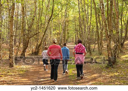 A family walking in the woods at Westleton Heath, Suffolk, England, Britain, Uk View Large Photo Image Stock Image - A family walking in the woods at Westleton Heath, Suffolk, England, Britain, Uk. Fotosearch