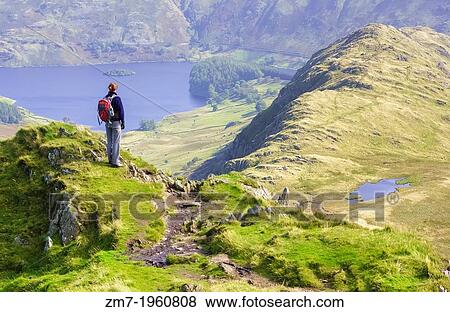 A female hiker stops on Long Stile to take in the view of Haweswater in the distance in the Lake District. View Large Photo Image Stock Photo - A female hiker stops on Long Stile to take in the view of Haweswater in the distance in the Lake District.. Fotosearch