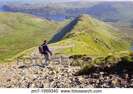 A female hiker walking down Long Stile towards Rough Crag and Haweswater in the Lake District. View Large Photo Image Stock Image - A female hiker walking down Long Stile towards Rough Crag and Haweswater in the Lake District.. Fotosearch