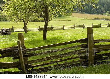 Picture - a fence in Ruckle Park, Saltspring Island, BC, Canada. Fotosearch
