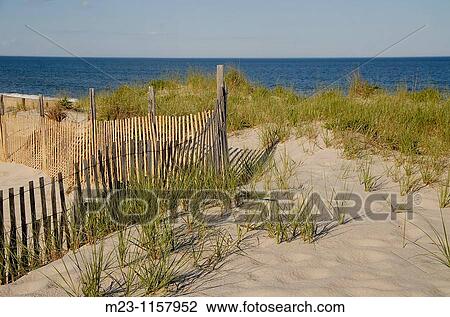 A fence protects fragile dunes, Long Beach Island, New Jersey, USA View Large Photo Image Stock Image - A fence protects fragile dunes, Long Beach Island, New Jersey, USA. Fotosearch