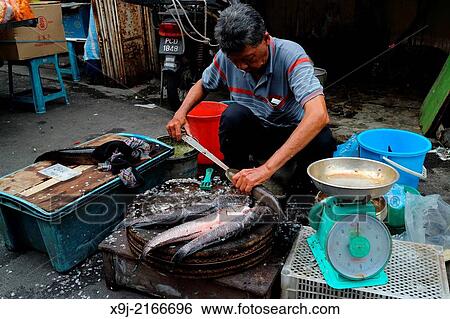 Stock Photograph - A fish vendor slaughter the first by stuck the knife into the mouth of fish, china town, chinese market, penang, malaysia. Fotosearch