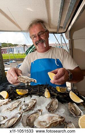 Stock Image - A fishmonger selling fresh oysters at The 2009 Cardigan Bay Seafood festival, Aberaeron, Ceredigion Wales UK. Fotosearch